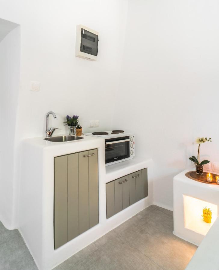 Villa Βδηφουκς à Mykonos Town Extérieur photo