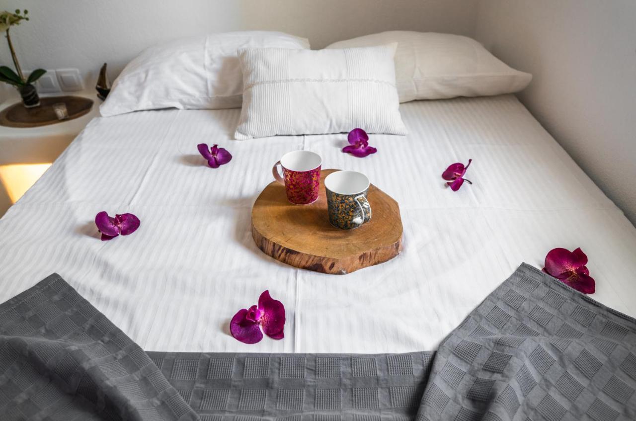 Villa Βδηφουκς à Mykonos Town Extérieur photo